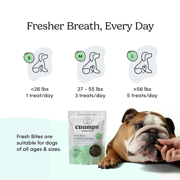 Feeding chart for Crumps Naturals Fresh Bites showing the recommended number of breath freshening treats per day based on your dog's body weight, from small to large breeds
