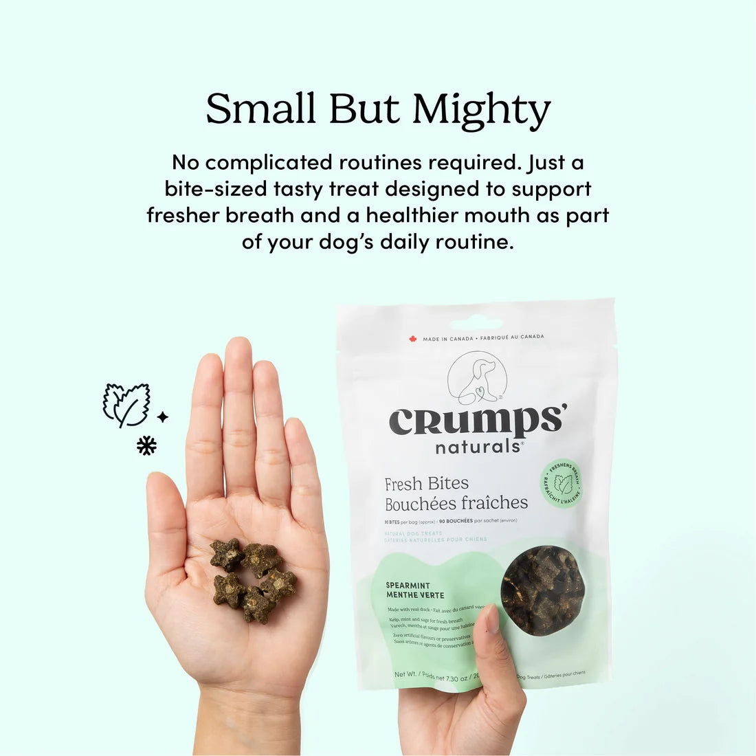 Crumps Naturals Fresh Bites dog treat held in a hand showing its small but mighty size – one little bite that reduces plaque, freshens breath, and supports whole mouth health naturally