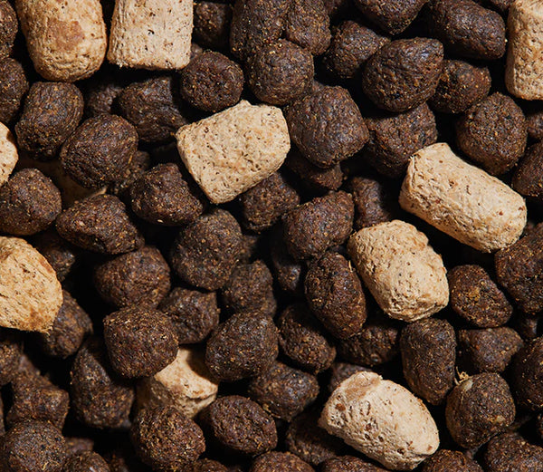 Detailed close-up of grain-free kibble mixed with visible freeze-dried raw chunks, showcasing high-quality ingredients like lamb, venison, and bison, designed to support energy, digestion, and overall canine health