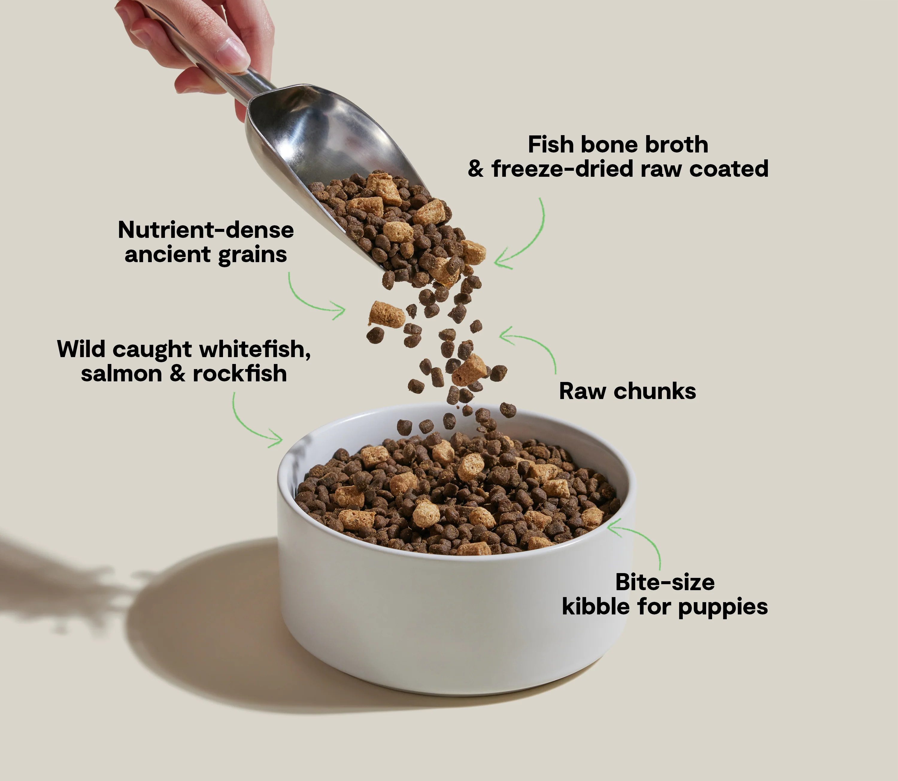 Scoop of puppy kibble and freeze-dried raw pieces falling into a bowl with visual highlights of DHA for brain health, Omega fatty acids for skin and coat, and protein for muscle development.