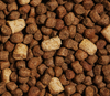 Close-up of RawMix puppy kibble coated in bone broth with visible freeze-dried raw chunks, illustrating texture, high protein content, and nutrient-rich ingredients for optimal puppy growth.