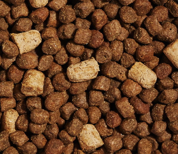 Close-up of RawMix puppy kibble coated in bone broth with visible freeze-dried raw chunks, illustrating texture, high protein content, and nutrient-rich ingredients for optimal puppy growth.