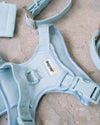 Dexypaws - No Pull Harness - Sky Blue