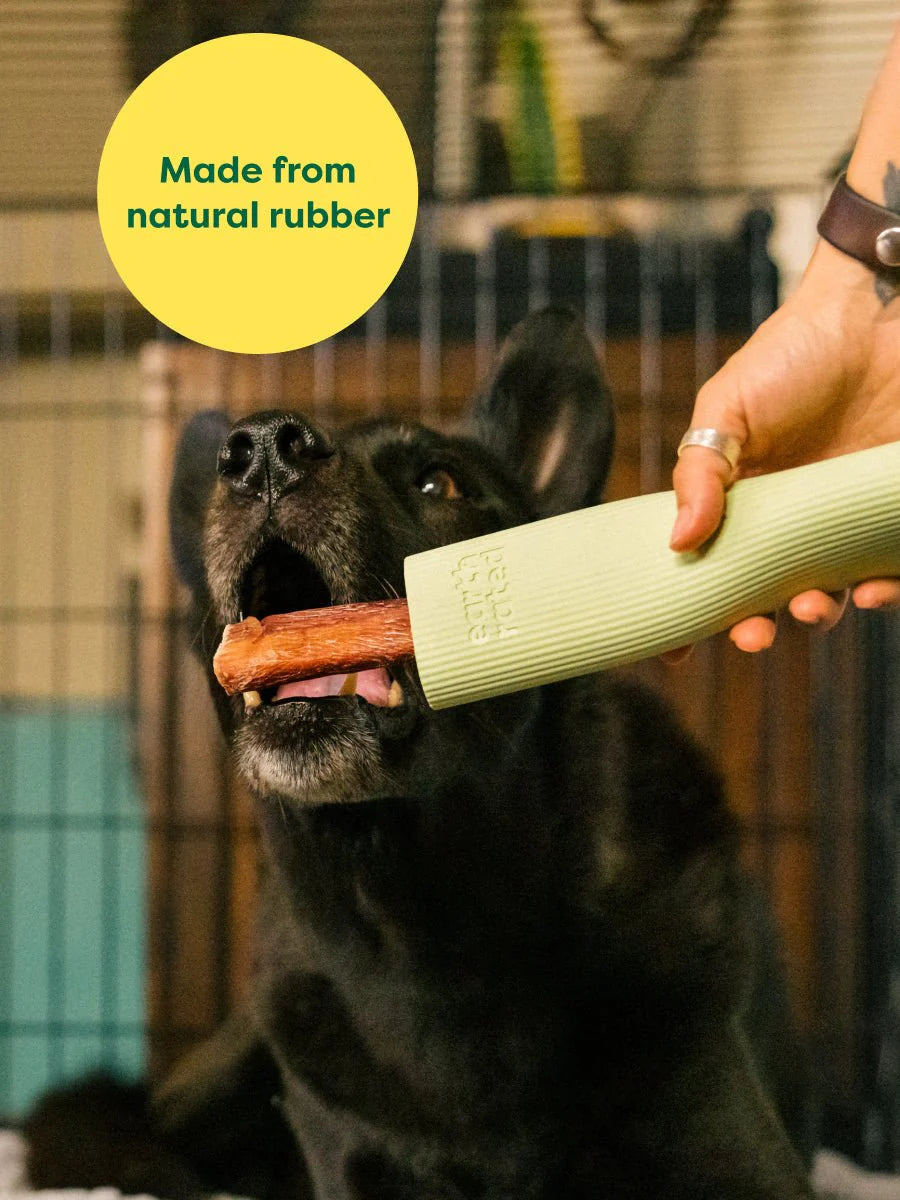 Dog enjoying the Earth Rated Chew Toy, made from durable and responsibly sourced natural rubber, providing safe chewing entertainment.