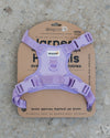 Dexypaws - No Pull Harness - Lilac