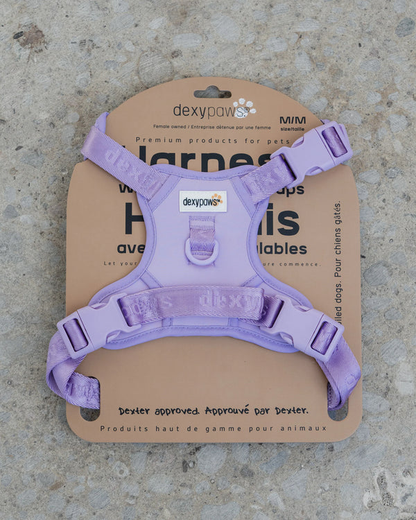 Dexypaws - No Pull Harness - Lilac