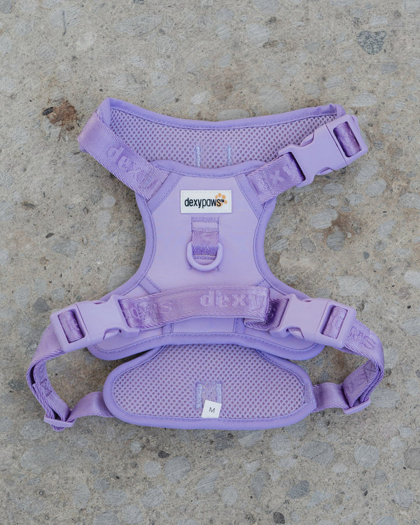 Dexypaws - No Pull Harness - Lilac
