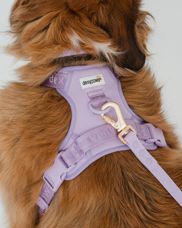 Dexypaws - No Pull Harness - Lilac
