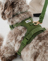Dexypaws - No Pull Harness - Camo Green