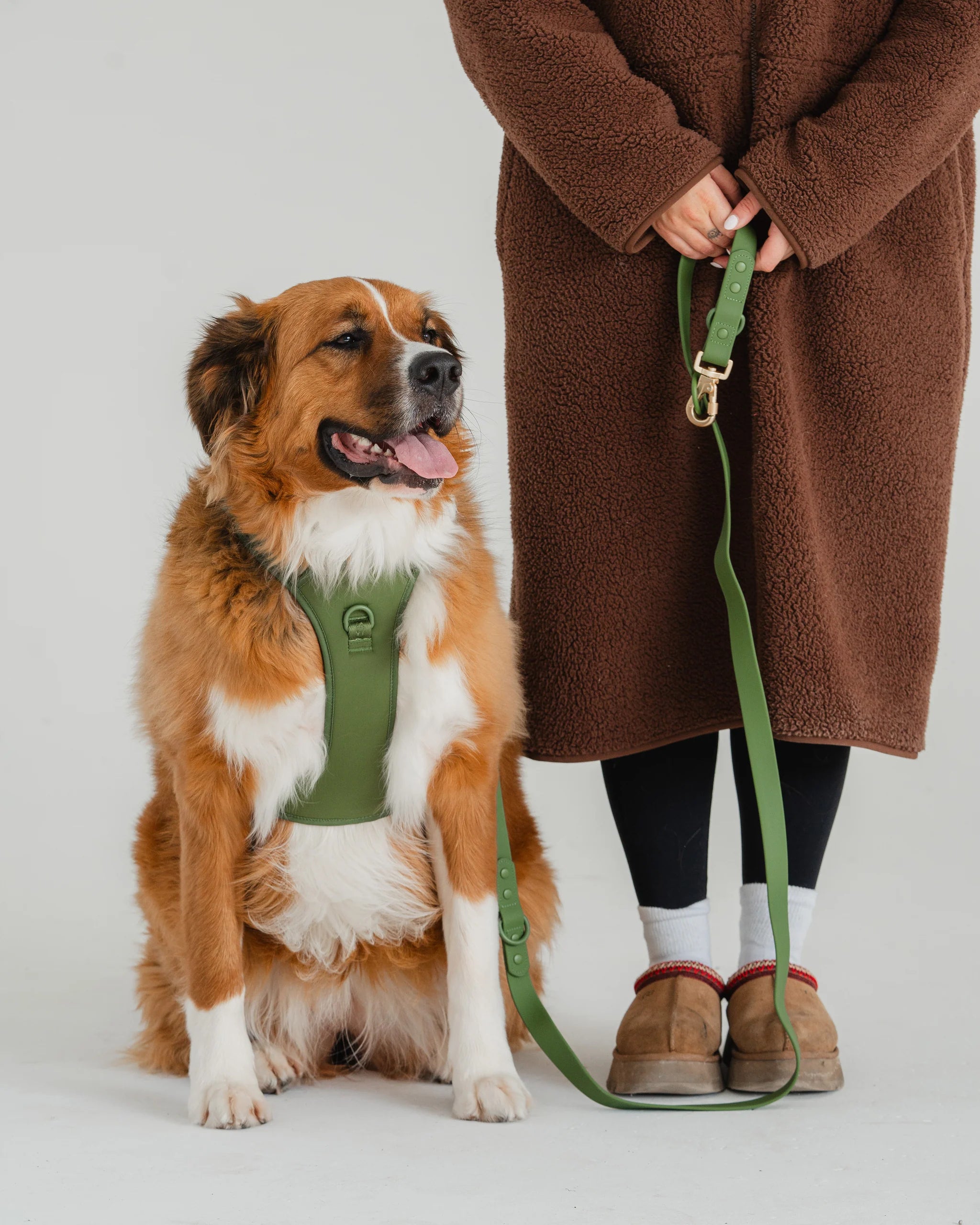 Dexypaws - No Pull Harness - Camo Green