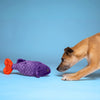 Dog focused on Fluff & Tuff Cici Tropical Fish plush toy on the ground, showcasing engaging colours and interactive design that stimulates play, mental engagement, and snuggling.