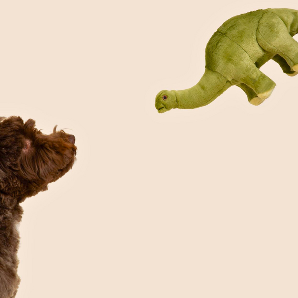 Dog playing with Emily the Brontosaurus plush toy, highlighting the toy's oversized 18-inch design, durable reinforced construction, long grab-friendly neck and tail, and ability to encourage fetching, carrying, shaking, and post-play snuggles.