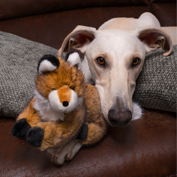 Dog enjoying a rest with Jasper the Fox squeakerless plush toy, showcasing its soft texture, silent play experience, reinforced durability, and comfort for both active play sessions and relaxation.