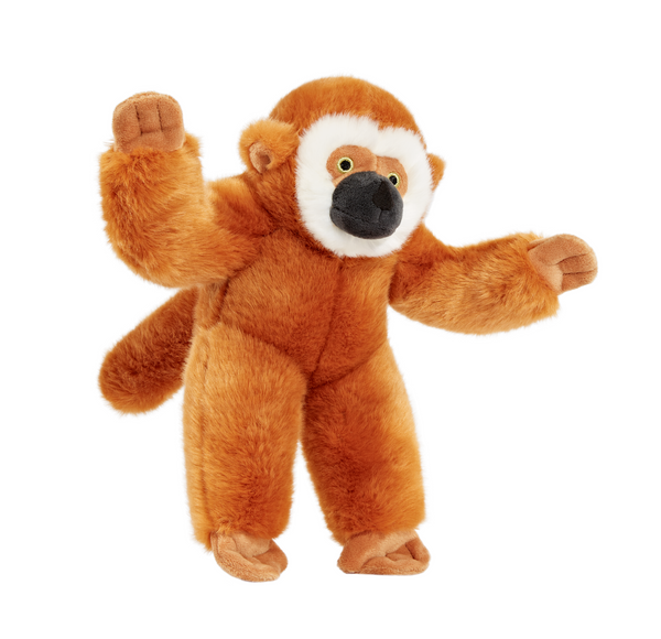 Close-up of Marcel the Monkey plush dog toy featuring long floppy arms and legs, a tuggable tail, premium ultra-soft fabric, reinforced Tuffweb™ mesh lining, embroidered safety details, and durable construction designed for shaking, carrying, tugging, and interactive play.