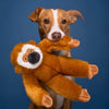 Dog playing with Marcel the Monkey plush toy during an interactive play session, highlighting the toy's long grab-friendly limbs, durable reinforced construction, soft plush texture, and ability to encourage tugging, retrieving, carrying, and bonding through play.
