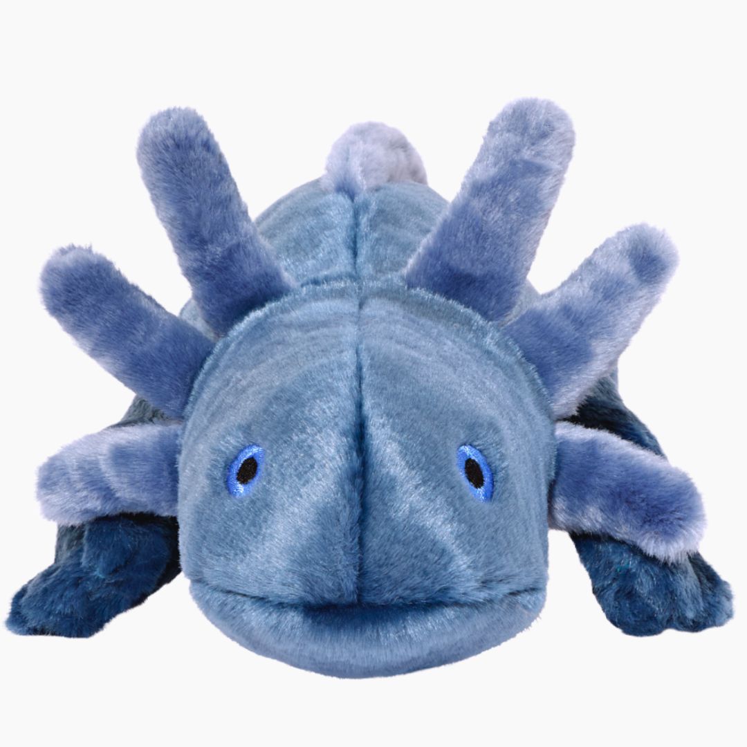 Front-facing close-up of Millie the Axolotl dog toy highlighting embroidered safety details, distinctive axolotl gills, plush texture, double-stitched seams, and a large easy-to-grab design for interactive play and enrichment.