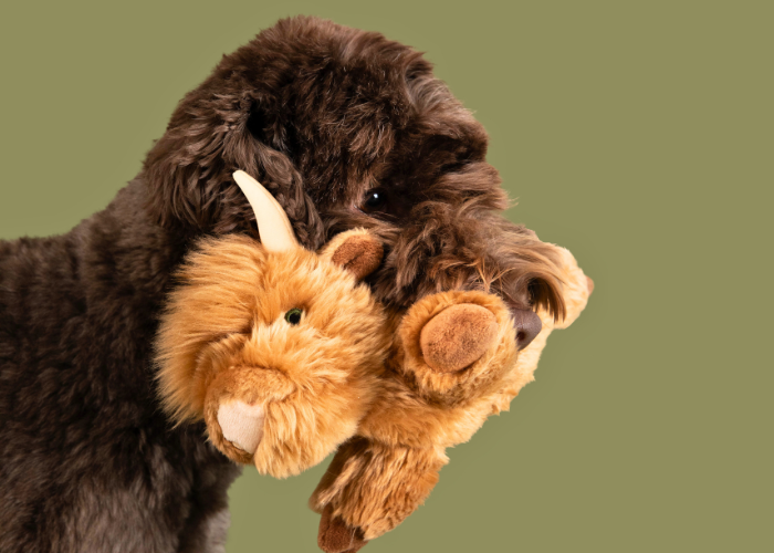 Dog relaxing and playing with Shaggy the Highland Cow plush toy, highlighting the toy's durable reinforced construction, soft comforting materials, unique Highland cow design, and ability to encourage fetching, carrying, bonding, and post-play cuddles.