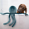 Dog happily looking at Stevie the Octopus plush toy, demonstrating the toy's extra-large 21-inch size, long interactive tentacles, durable reinforced construction, and ability to encourage natural shaking, retrieving, carrying, and enrichment-based play activities.