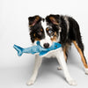 Small dog carrying and playing with Baby Bruce the Shark plush toy, highlighting the toy's lightweight construction, durable reinforced interior, soft comforting materials, and ability to encourage confidence-building play, carrying, fetching, cuddling, and enrichment.