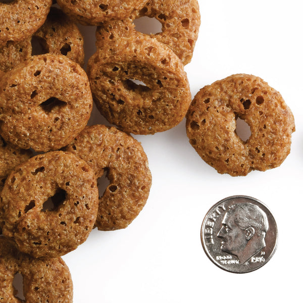 Fromm Crunchy O's Dog Treats Pumpkin Kran Pow up close and showing texture and crunchy style