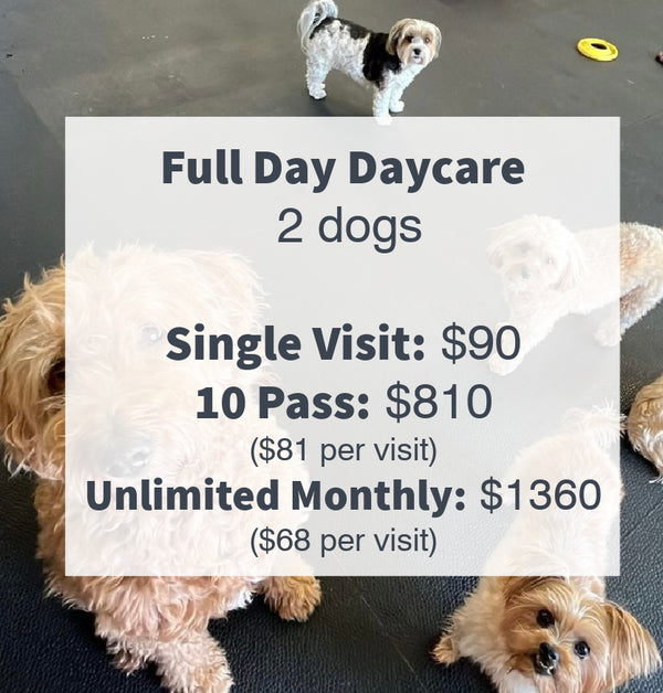 2025 Prices for Full day dog daycare which is anything over 6 hours at Unleash the Pawsitive.  Which is an amazing Doggy Daycare located in Port Elgin, Ontario Canada