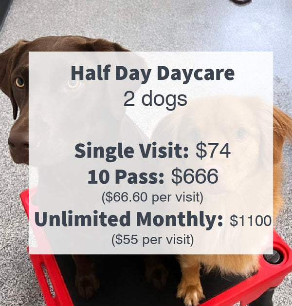 2025 Dog Daycare Prices for half day daycare which is less than 6 hours, for two dogs.  Unleash the Pawsitive is an amazing doggy daycare located in Port Elgin Ontario Canada