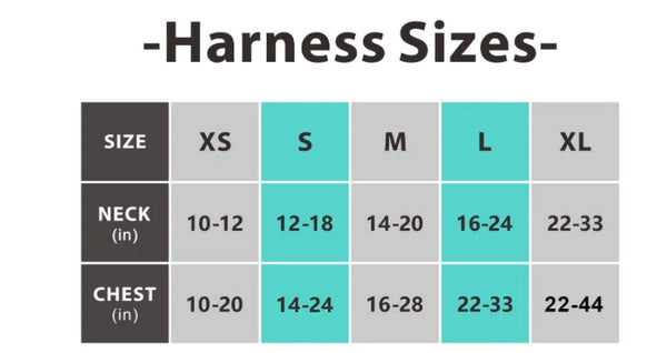 DexyPaws Sage Green No Pull Dog Harness sizing guide displaying measurements for XS, Small, Medium, Large, and XL to help pet parents choose the safest and most comfortable fit for their dog.