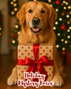 A golden retriever sits proudly beside a wrapped Christmas gift, symbolizing the excitement and joy of our Holiday Mystery Dog Boxes that deliver fun, enrichment, and festive cheer to dogs across Canada.