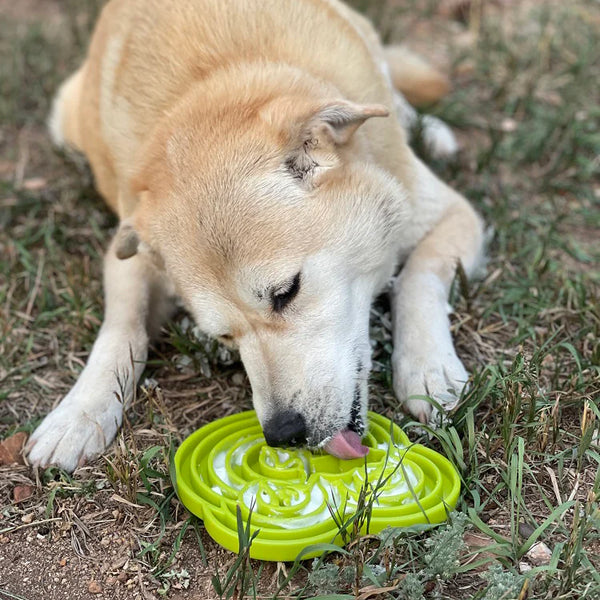 Soda Pup Lick Mat - Bull Frog