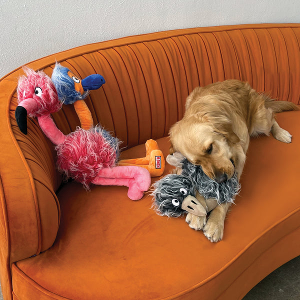 Dog playing with the KONG Comfort Jumbo Bird, shaking and thrashing the large, plush toy.