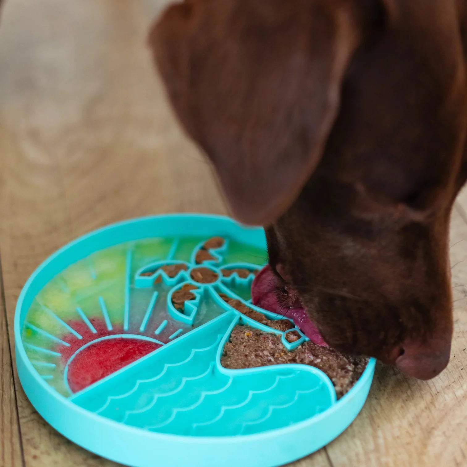Dog enjoying frozen treats from the textured lick bowl, showing calming enrichment, slower eating to support digestion, and secure non-slip suction that prevents sliding during use.