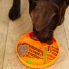 Dog enjoying frozen food from a textured silicone lick bowl, showing calming lick therapy that reduces boredom, slows eating, and supports digestion through mindful foraging.
