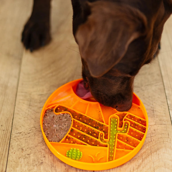 Dog enjoying frozen food from a textured silicone lick bowl, showing calming lick therapy that reduces boredom, slows eating, and supports digestion through mindful foraging.