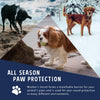 Multiple dogs enjoying the outdoors in different seasons, demonstrating how Musher’s Secret forms a breathable barrier for year-round paw protection in snow, sand, and sun.