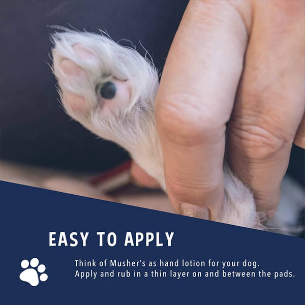 Mushers Secret is easy to apply.  Think of it as hand lotion for your dog.  Apply and rub in a thin layer on and between the pads