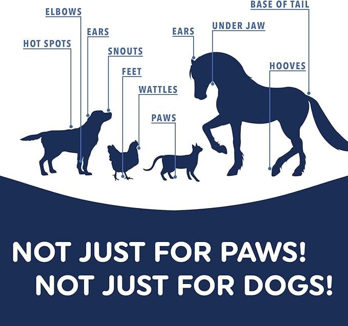 Visual showing Musher’s Secret used on a dog’s nose, ears, and paws, along with cats and horses, highlighting its safe and versatile application for various animals and sensitive areas.