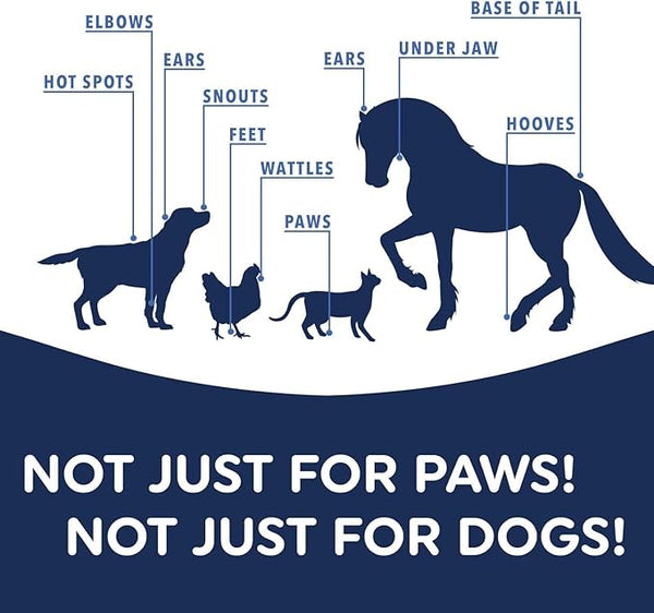 Visual showing Musher’s Secret used on a dog’s nose, ears, and paws, along with cats and horses, highlighting its safe and versatile application for various animals and sensitive areas.