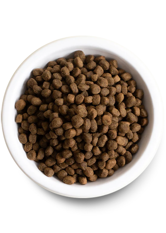 A savoury pork-based kibble with ancient grains, delivering balanced protein, fibre, and coat support for active dogs.