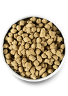 Close-up of Open Farm Harvest Chicken Freeze Dried Raw dog food in a bowl, offering dogs natural raw nutrition.