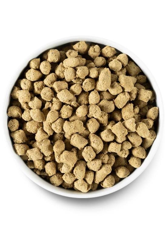 Close-up of Open Farm Harvest Chicken Freeze Dried Raw dog food in a bowl, offering dogs natural raw nutrition.