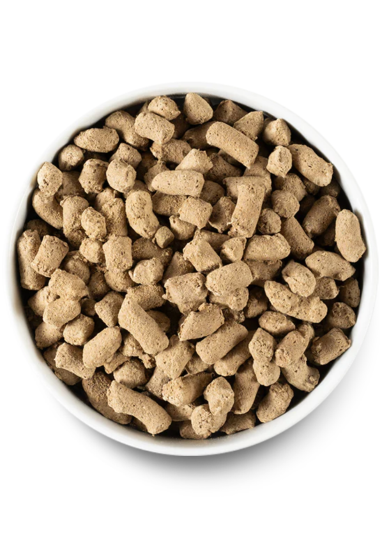 Close-up of Open Farm's freeze-dried raw beef dog food in a bowl for optimal feeding and nutrition.