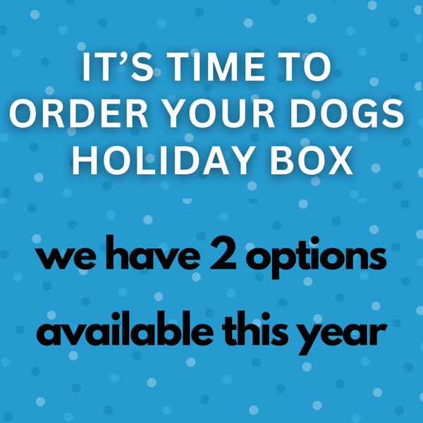 Seasonal promotional image reading "It's Time to Order Your Dog's Holiday Box," encouraging pet owners to surprise their dogs with treats and toys for the holidays.