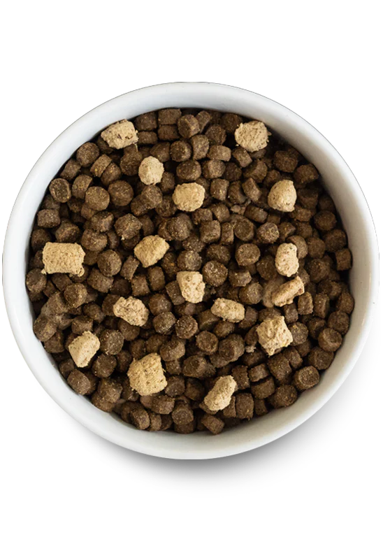 Close-up view of Open Farm Grain & Legume Free RawMix - Tide & Terrain kibble, showing its quality and texture.