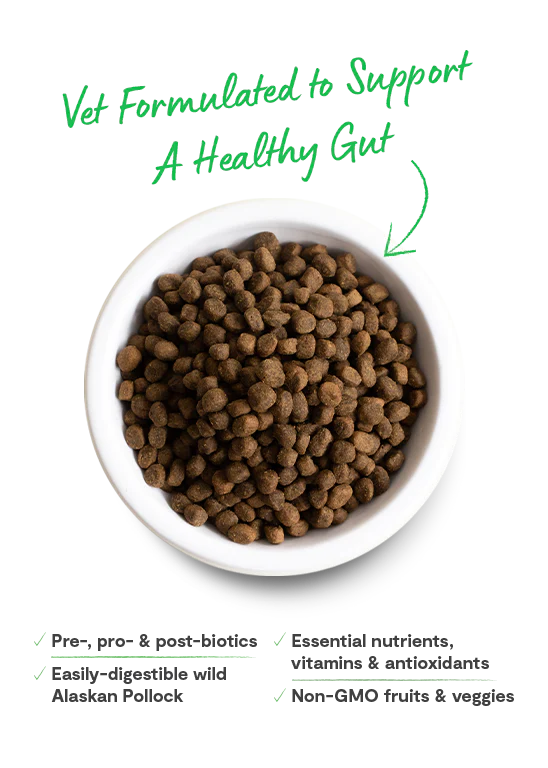 A bowl of Open Farm Digestive Health kibble with a vet-approved seal, highlighting its nutrient-rich, easily digestible formula for dogs with sensitive stomachs.