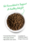 A bowl of Open Farm Healthy Weight kibble with a vet-approved seal, highlighting its balanced formula for weight control and lean muscle support.