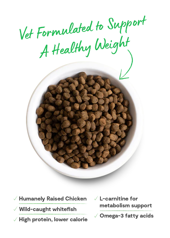 A bowl of Open Farm Healthy Weight kibble with a vet-approved seal, highlighting its balanced formula for weight control and lean muscle support.