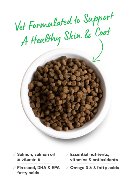 A bowl of Open Farm’s Skin & Coat Health kibble with a vet-approved seal, highlighting its nutrient-rich formula for skin hydration and coat shine.