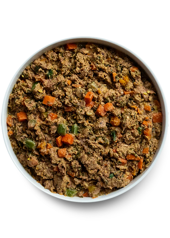 Close-up of Open Farm Gently Cooked Puppy Recipe showing its soft, slow-cooked texture packed with fresh proteins and veggies.