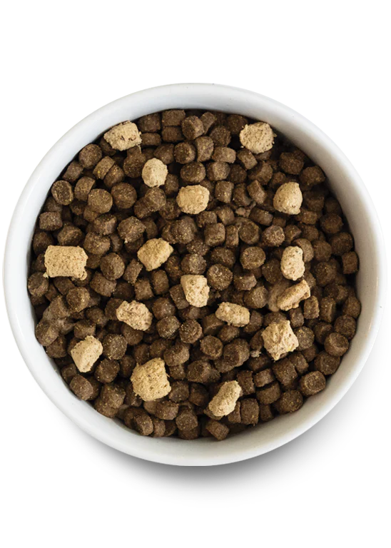 An image of the kibble close up: 