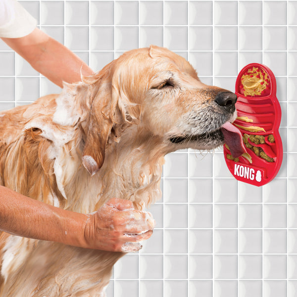 Image of a dog licking the KONG Licks mat stuck to a wall during a bath, helping soothe anxiety and keep the dog calm and distracted while cleaning.